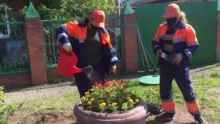 Под окнами 95-летнего ветерана ВОВ Анатолия Пулковского накануне 9-го мая высадили цветы