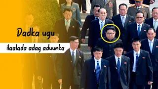 madaxda ugu ilaalada adag aduunka