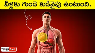 Heart on the Right Side? Top Interesting Facts in Telugu Badi