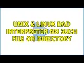 Unix Linux bad interpreter No such file or directory