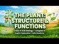 The Plant Structure and Functions Class 6 ICSE Biology Chapter 4 English Explanation