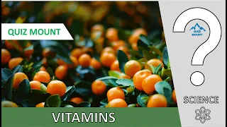 Vitamins Quiz Mount
