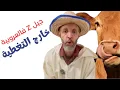 Download Lagu جيل زد فالبادية المغربية: حذاري حذاري