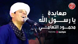 Mahmoud El Tohamy محمود التهامي صعايدة يا رسول الله مولد سيدي جلال الدين السيوطي ٢٠٢٣ 