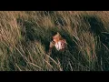 The Weather Station - Tried To Tell You (Piano Version)