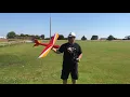 Flitetest Tiny Trainer with sports wing