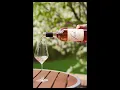 Wine Pour GIF