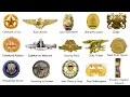 U S Navy Insignias and badges Explained in 10 Minutes