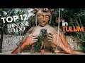 Our Top 12 Things To Do in Tulum Mexico without breaking the bank