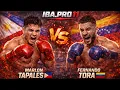 Lagu Tapales Breaks Down a Warrior | IBA.PRO Manila Fight