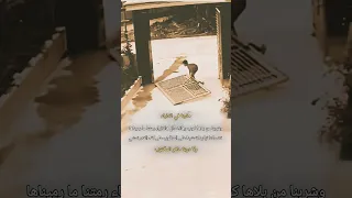 مشينا في الدنياء وشربنا من بلاها كوب حالات واتس عبارات تصميمي Explore 