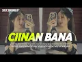 Download Lagu DJ Ciinan Bana (Fauzana) - DJ Slow Mengkane Cocok Buat Santai Terbaru 2024 || DJ Tebaz