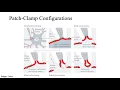 The Patch Clamp