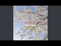 Download Lagu Le tempo des hortensias