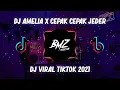 DJ AMELIA X PAK CEPAK CEPAK JEDER FULL BASS 🎵|| DJ VIRAL TIKTOK 2021