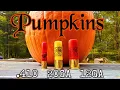 SHOTGUNS vs PUMPKINS 410 Bore 20 Gauge 12 Gauge - Buckshot Slugs