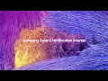 Download Lagu Samsung Gear S Notification Sounds