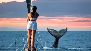 SAILING THE SPANISH VIRGIN ISLANDS – WHALES OFF THE BOW + BIOLUMINESCENT BAY! 🐋✨ EP-172