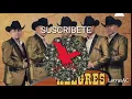 Alegres De La Sierra - Suerte He Tenido (LETRA)