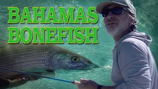 Bonefish of the Bahamas