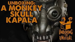 unboxing the unusual monkey skull kapala