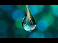 Download Lagu Water Drop Sound Effect | 3D Sound Effects | splash to drips | Link In Description 👇