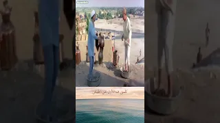 أنت مخلف آر بى چى 