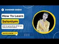 Selenium Tutorial Beginners Hindi