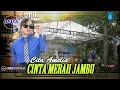 Download Lagu Cinta Merah Jambu O.M AVITA - Cita Amelia