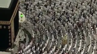 قراءة تقشعر لها الآذان للشيخ ماهر المعيقلي دندنها