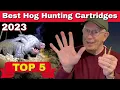 Top 5 Hog Hunting Cartridges Best Calibers For Hogs