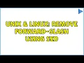 Unix Linux Remove forward-slash using sed 4 Solutions