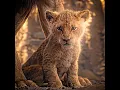 Download Lagu 💖 Scar accused it was Simba's fault, and poor Simba was forced to flee. 💖 #edit #movie #shorts