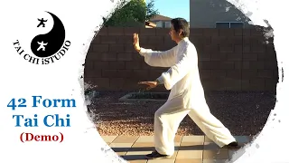 42 form tai chi demo