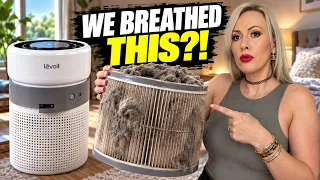 Levoit Eleva 300X Air Purifier After 1 Month: Worth It for Allergies?