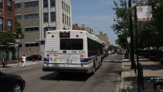 Chicago Transit Authority Novabus LFS 6783 on the 81