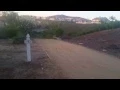 Willow St Central Park - Murrieta rough patch