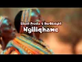 Lagu Silent Predia \u0026 DarQknight Ft. SneQue - Ngiliqhawe (J Maloe \u0026 Lapie Remix) | WeAreiDyll Records |