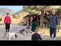 Download Lagu Traditional Iranian Nomadic Life: A Journey into the World of Culture and Art
