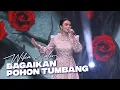 Download Lagu Wika Salim - Bagaikan Pohon Tumbang | ROAD TO KILAU RAYA (BERKAH CINTA RAMADAN)