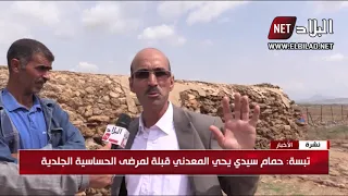 تبسة حمام سيدي يحي المعدني قبلة لمرضى الحساسية الجلدية  تبسة حمام سيدي يحي المعدني قبلة لمرضى الحساسية الجلدية