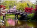 Vivaldi s Four Seasons - Spring Part 1