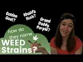Weed Strain Names Naming Cannabis Strains Stoned Marlee