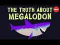 Why did Megalodon go extinct - Jack Cooper and Catalina Pimiento