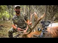 Spot and Stalk Hunting for a Kentucky Bull Elk - First Time Elk Hunter