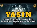Lagu Surah Yasin Pengusir Setan dan Penyembuh Segala Macam Penyakit, Ngaji Merdu | By : Alaa Aqel