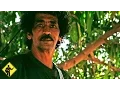Download Lagu Groove In G | Playing For Change | Song Around The World