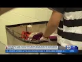 County jail fails to meet minimum standards