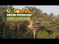 Download Lagu [FULL] Rumah Pohon Impian | SI BOLANG (30/05/25)