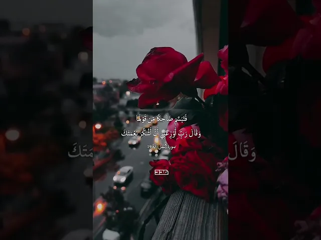 ⁣بِسْمِ اللَّهِ الرَّحْمَنِ الرَّحِيم✨ #آيات #تلاوة #قرآن